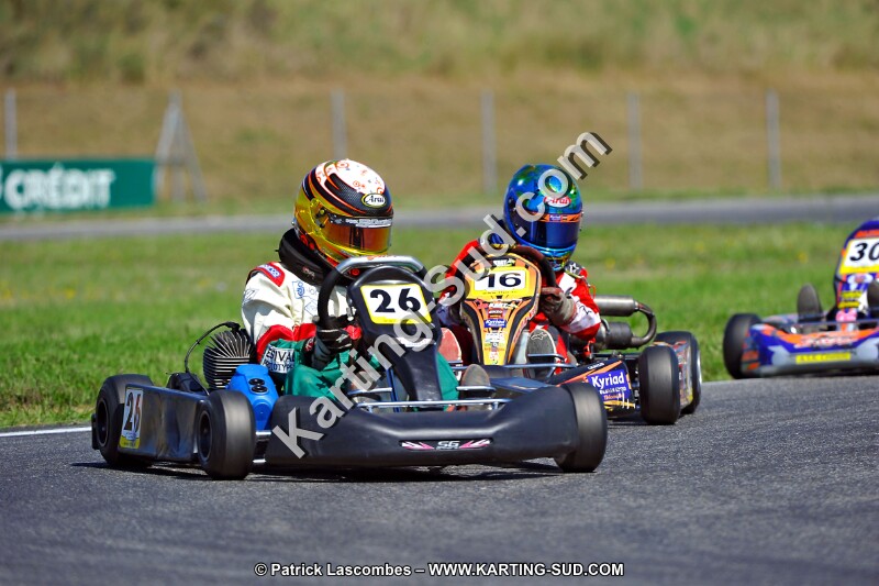 DSC_ (1351).jpg